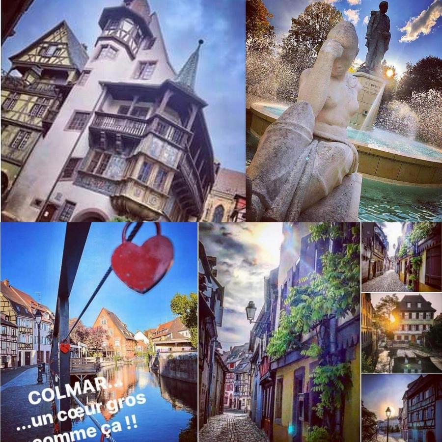 Le 1 " Gites Tout Confort A Colmar Centre" Exteriér fotografie